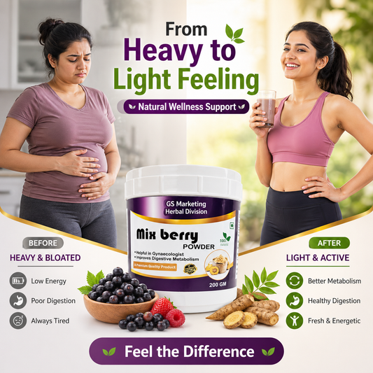 Mix Berry Powder for Women Wellness – Supports Digestion, Metabolism & Daily Health | 100gm | GS Marketing Herbal Division