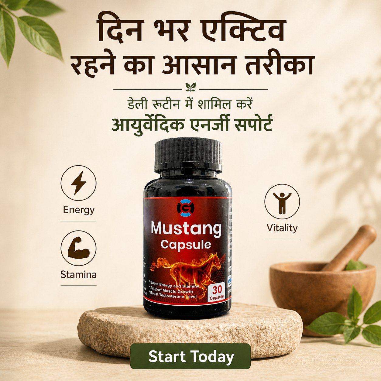 Mustang Capsule – Advanced Ayurvedic Energy & Stamina Support | Daily Performance Formula (30 Capsules)